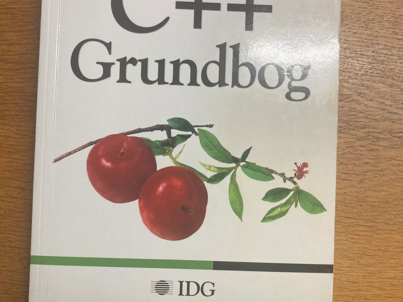 Billede 1 - C++ Grundbog