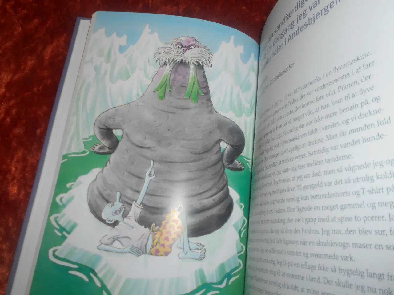 Billede 2 - Drengen der gik over gevind, Nanna Gyldenkærne,