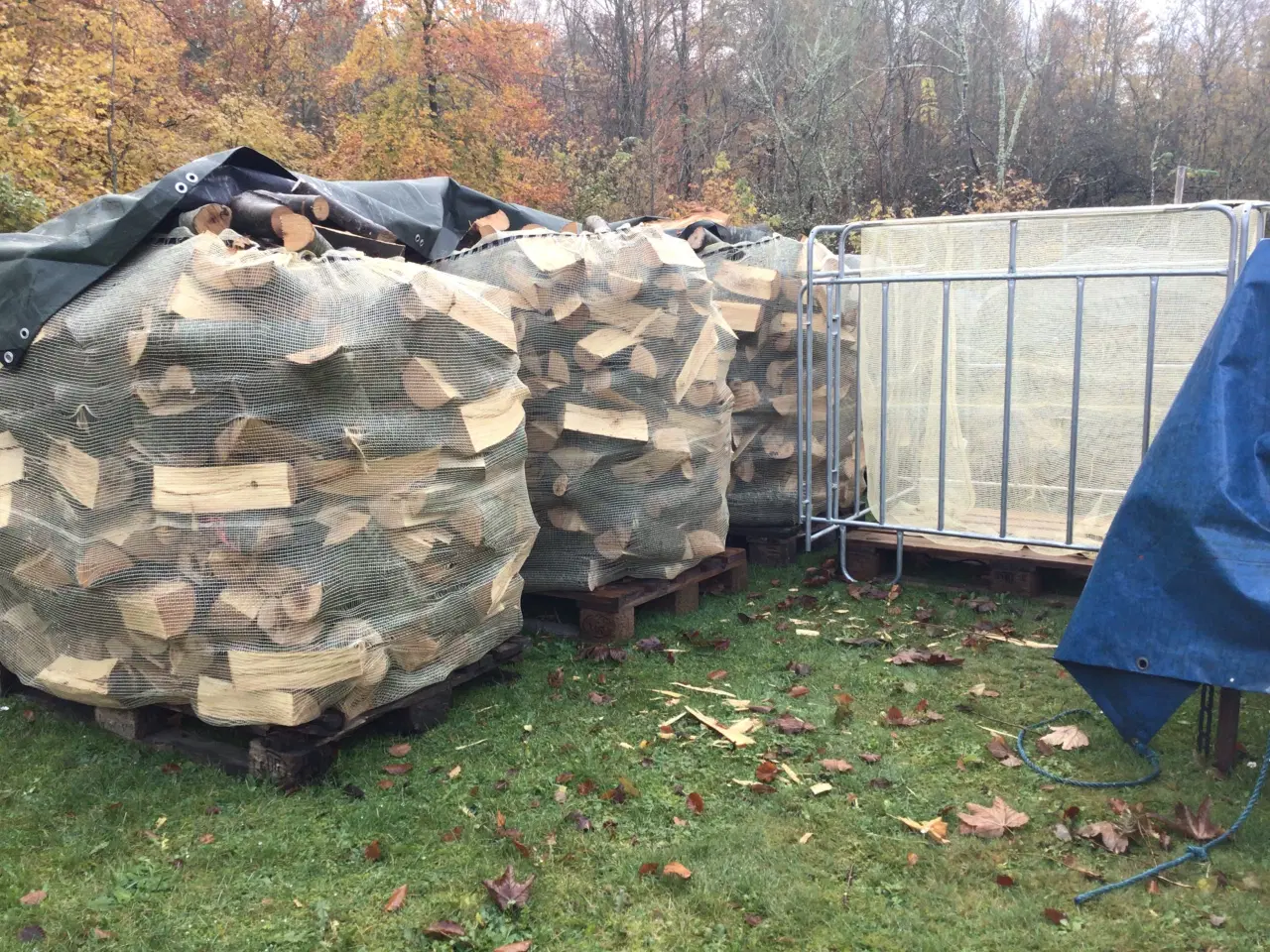 Billede 1 - Bøge brænde