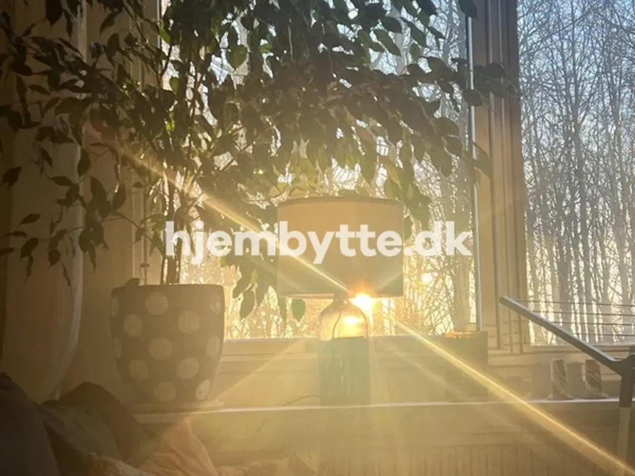 Billede 4 - Hjembytte - Fredskovhellet