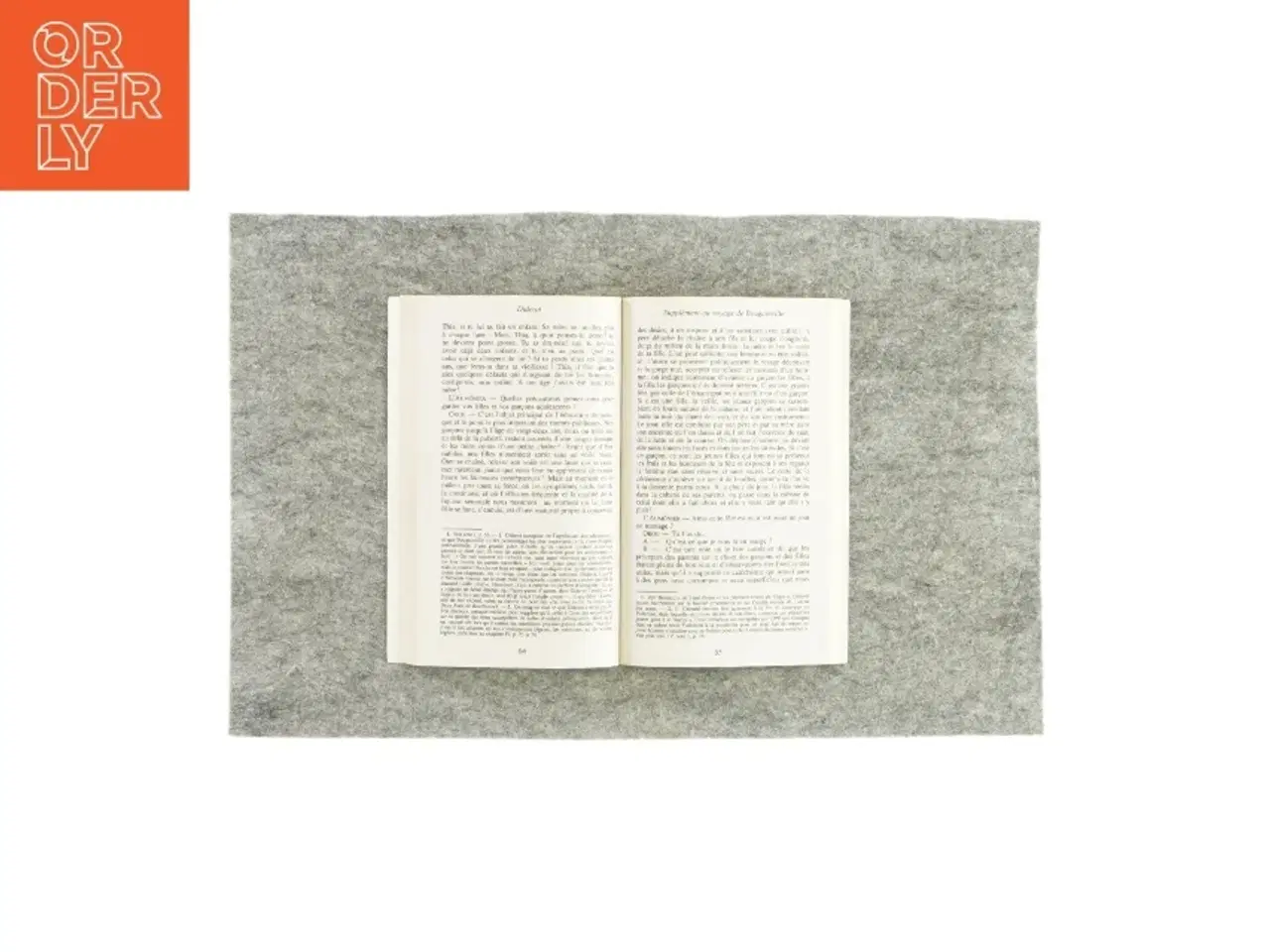 Billede 3 - Diderot (bog)