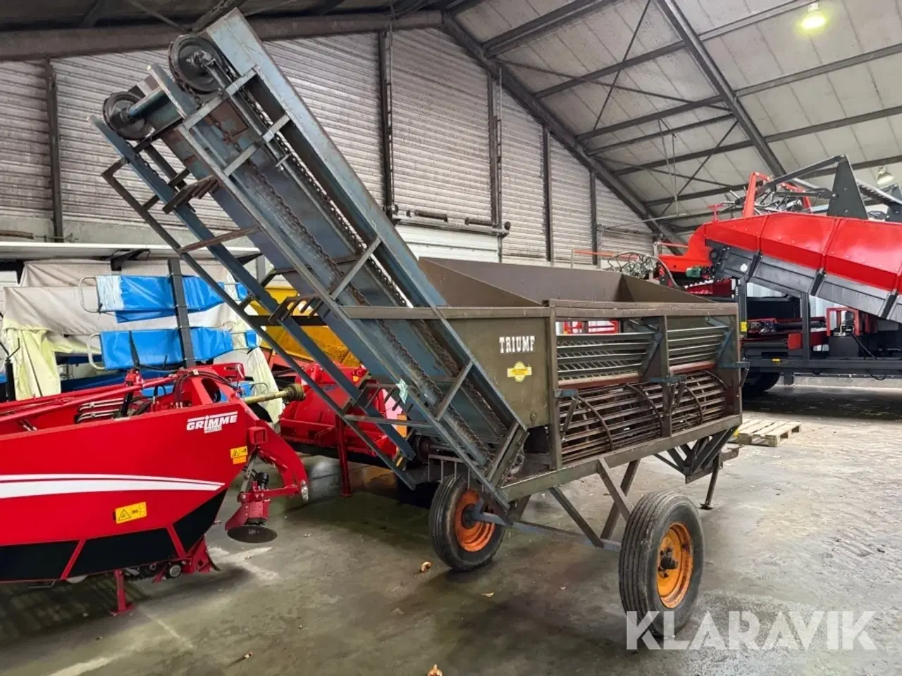 Billede 2 - Roe renser Triumf