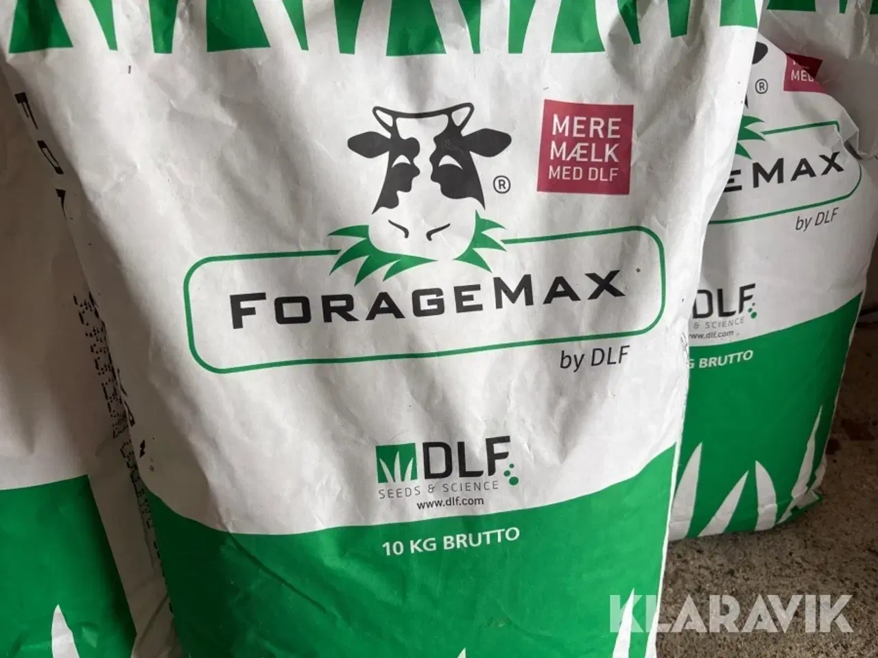 Billede 3 - Græsfrø DLF Italiens Rajgræs Danergo 80 kg