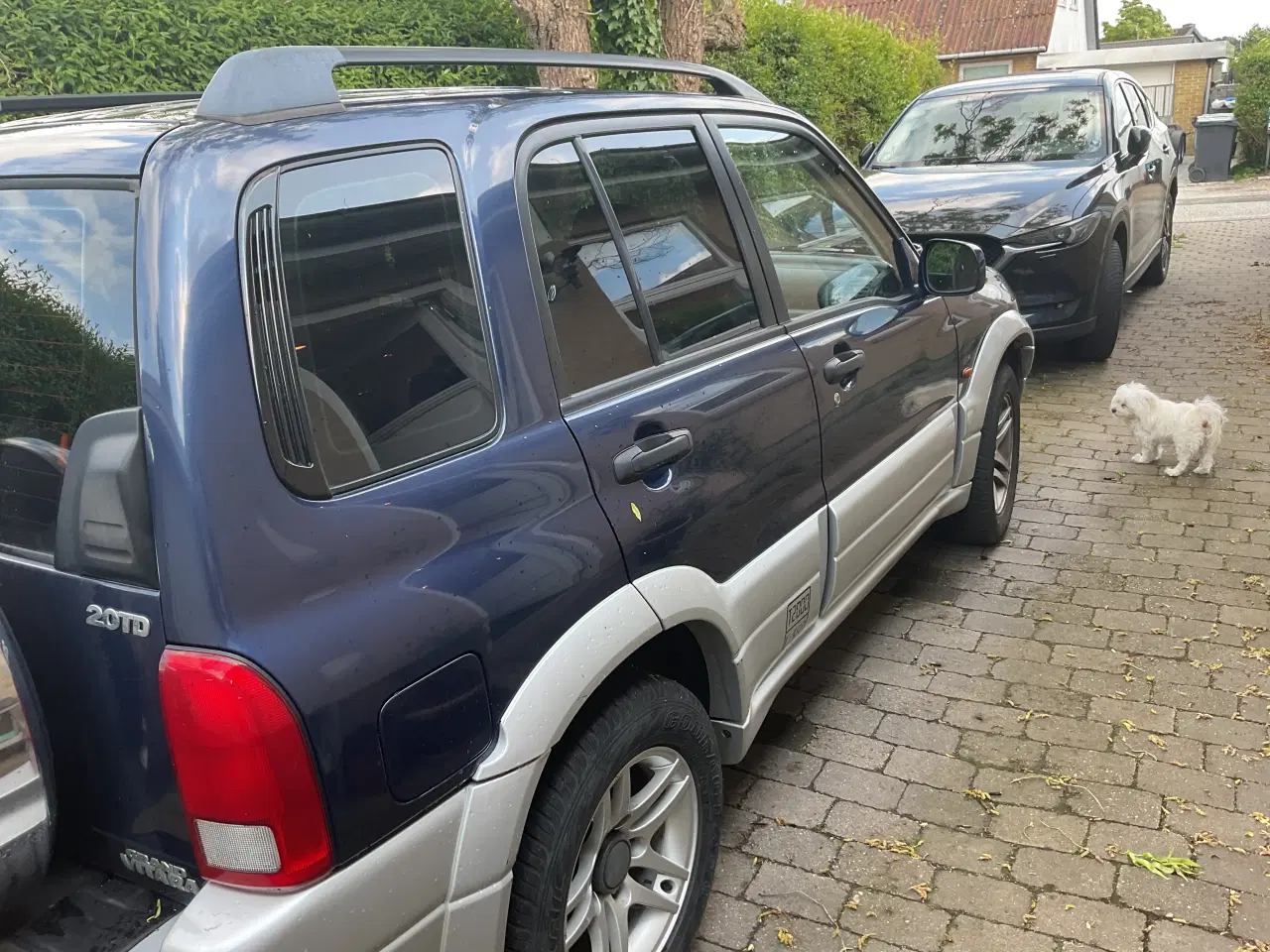 Billede 4 - Suzuki Grand Vitara