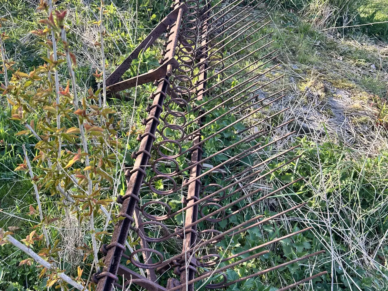 Billede 2 - Langfinger harve / Strile