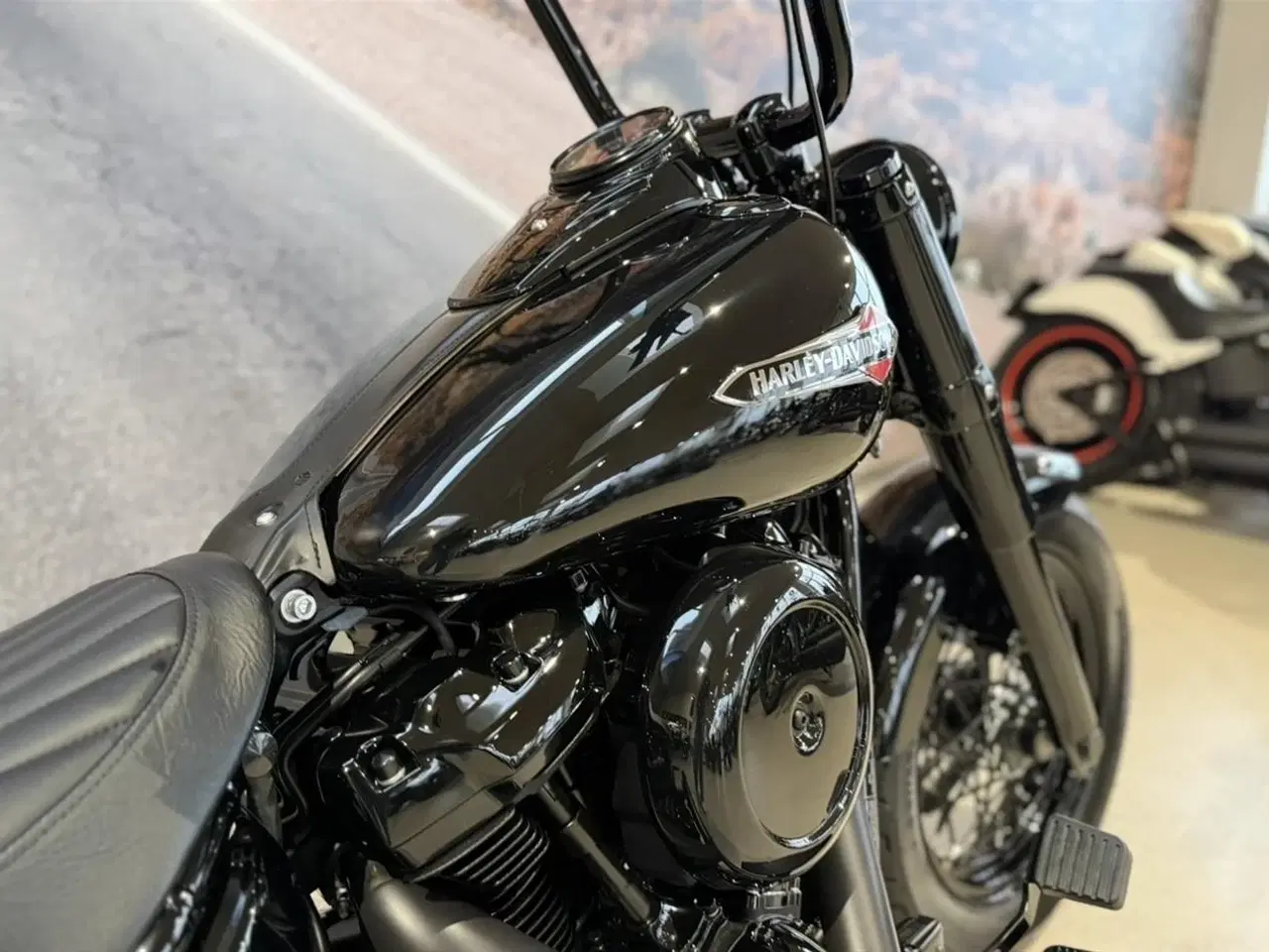Billede 8 - Harley-Davidson FLSL SOFTAIL SLIM 107"