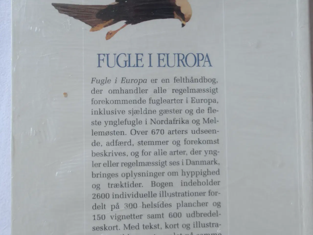 Billede 3 - Fugle i Europa  :