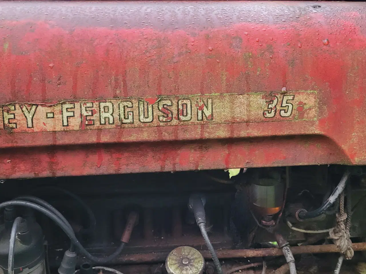 Billede 5 - Ferguson 35 Benzin