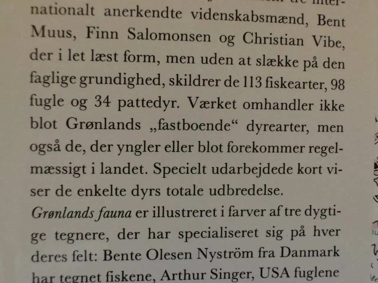 Billede 4 - grønlands fauna - fisk fugle pattedyr, af bent muu