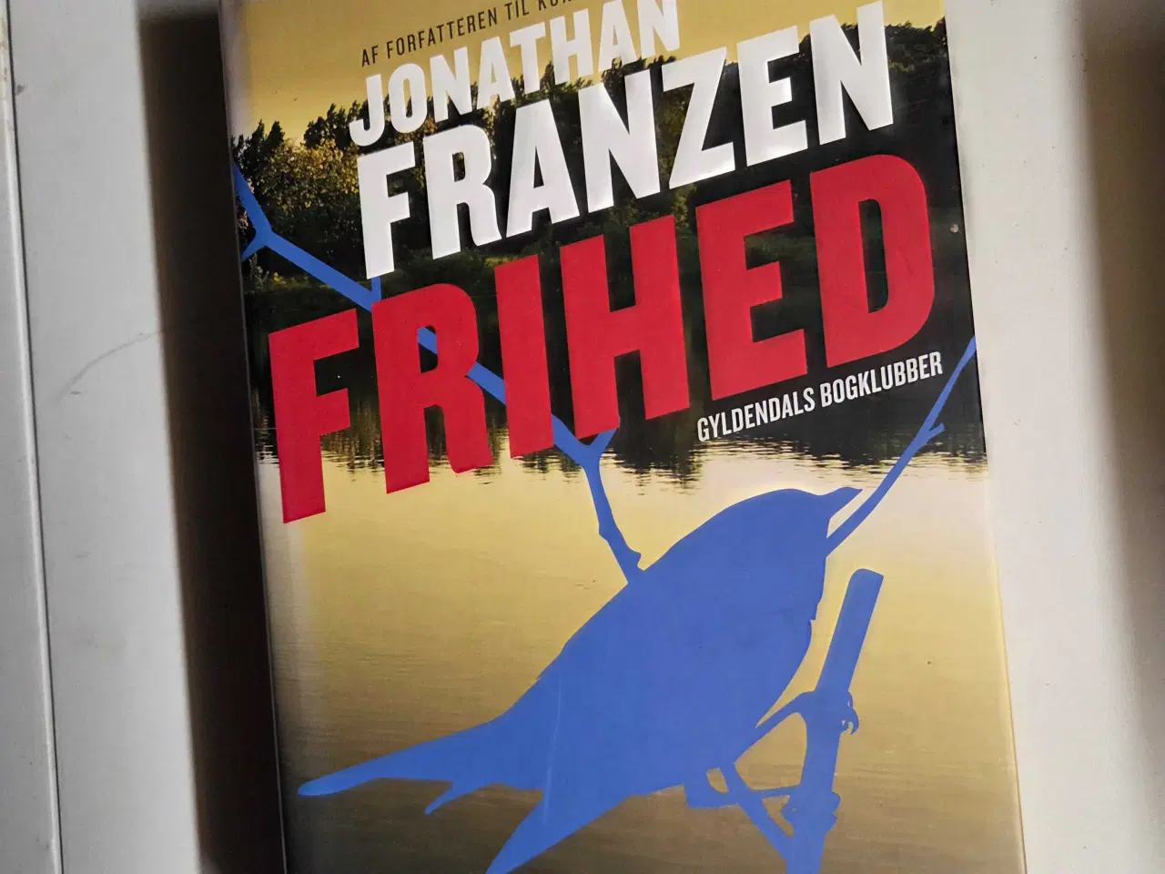 Billede 15 - Romaner på dansk