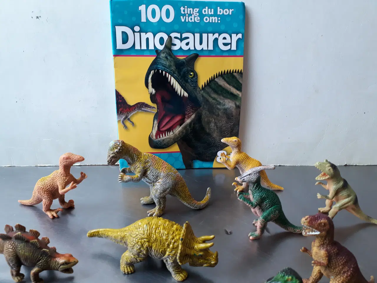 Billede 5 - 19 Dinosaurs & 1 Dinobog