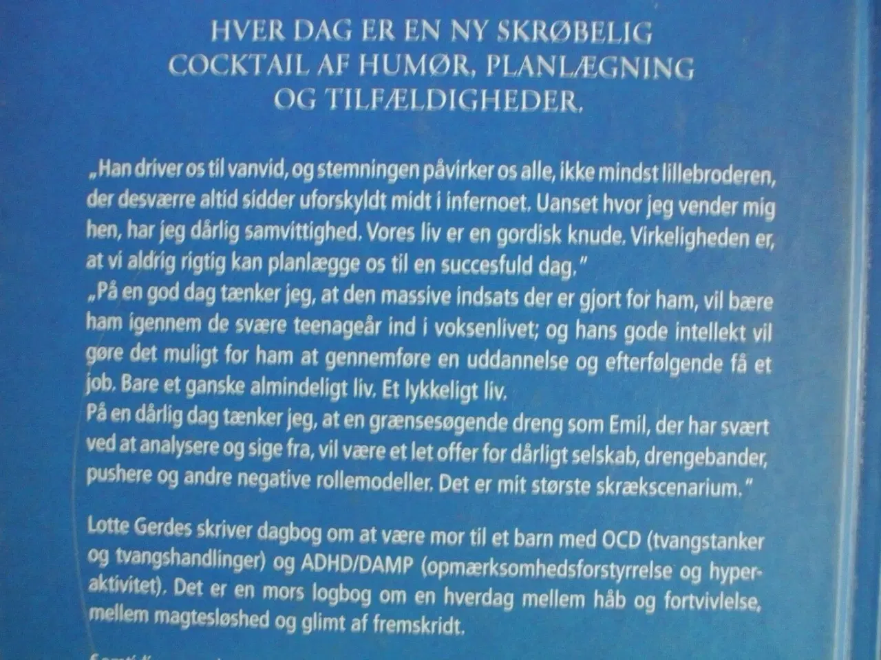 Billede 3 - barn i bevægelse - om at være forældre til et barn