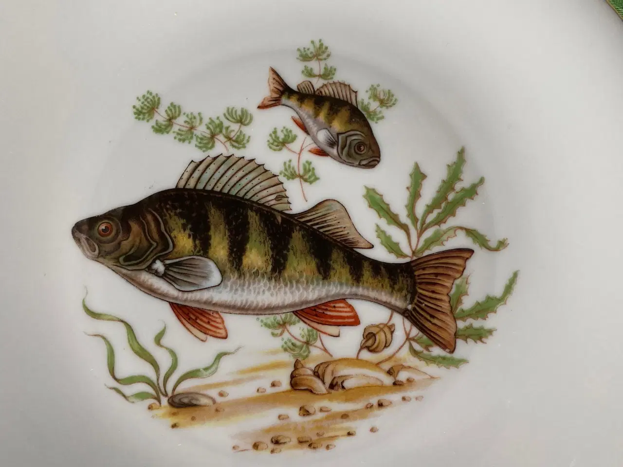 Billede 6 - Winterling Bavaria porcelæn fisketallerkener