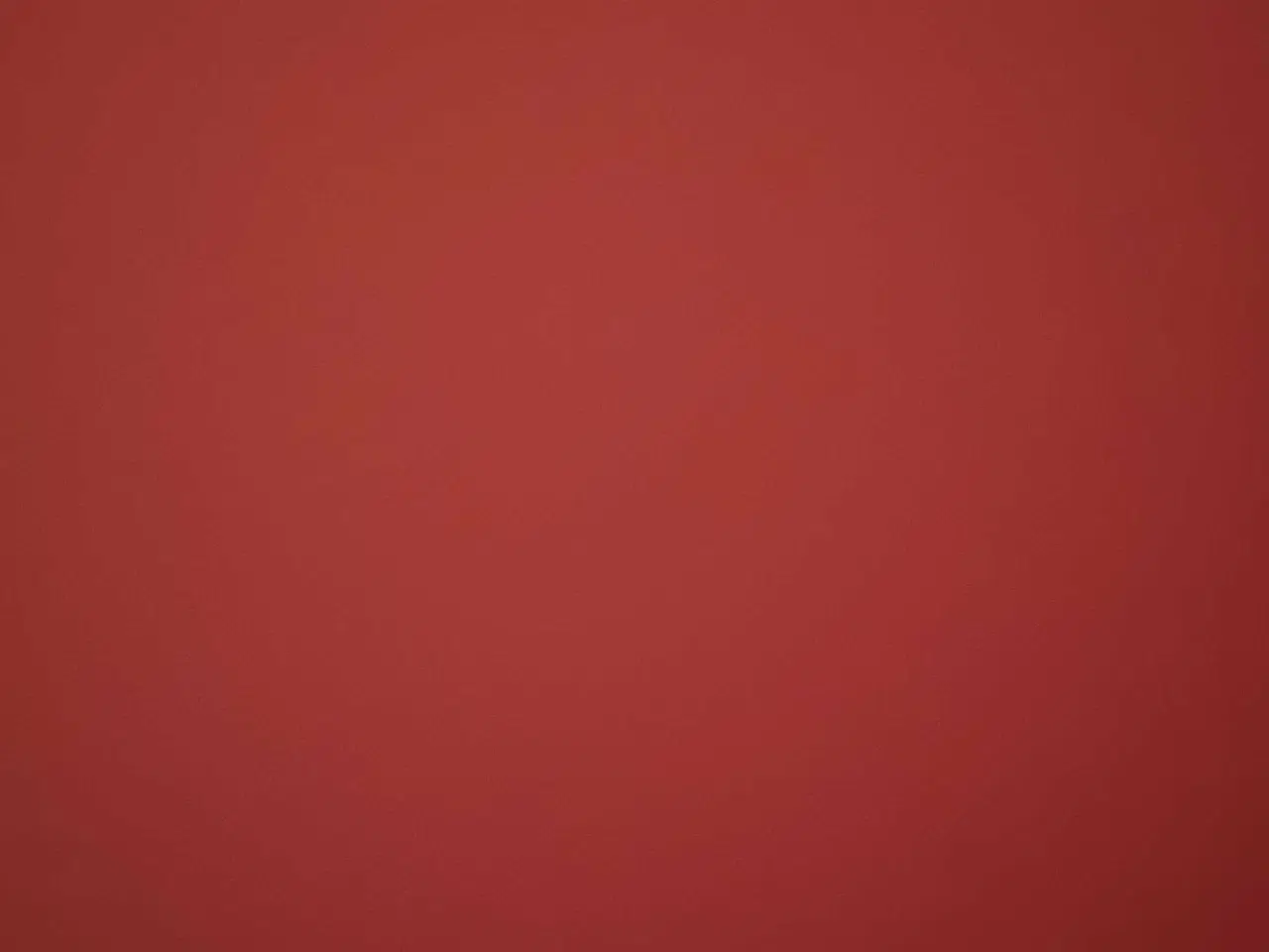 Billede 1 - Papegøje søger nyt hjem 