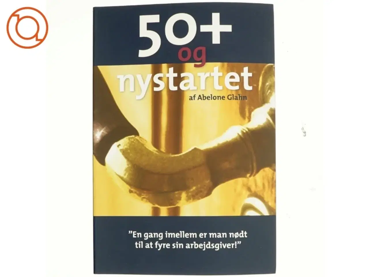 Billede 1 - 50+ og nystartet af Abelone Glahn (Bog)