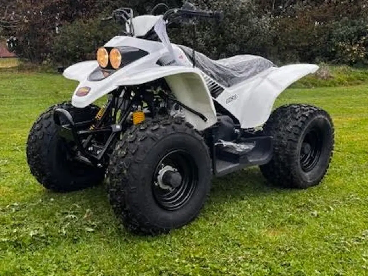 Billede 1 - Smc 100cc Sport uden baggear 