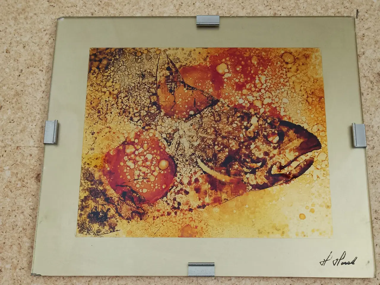 Billede 1 - Henrik Horst