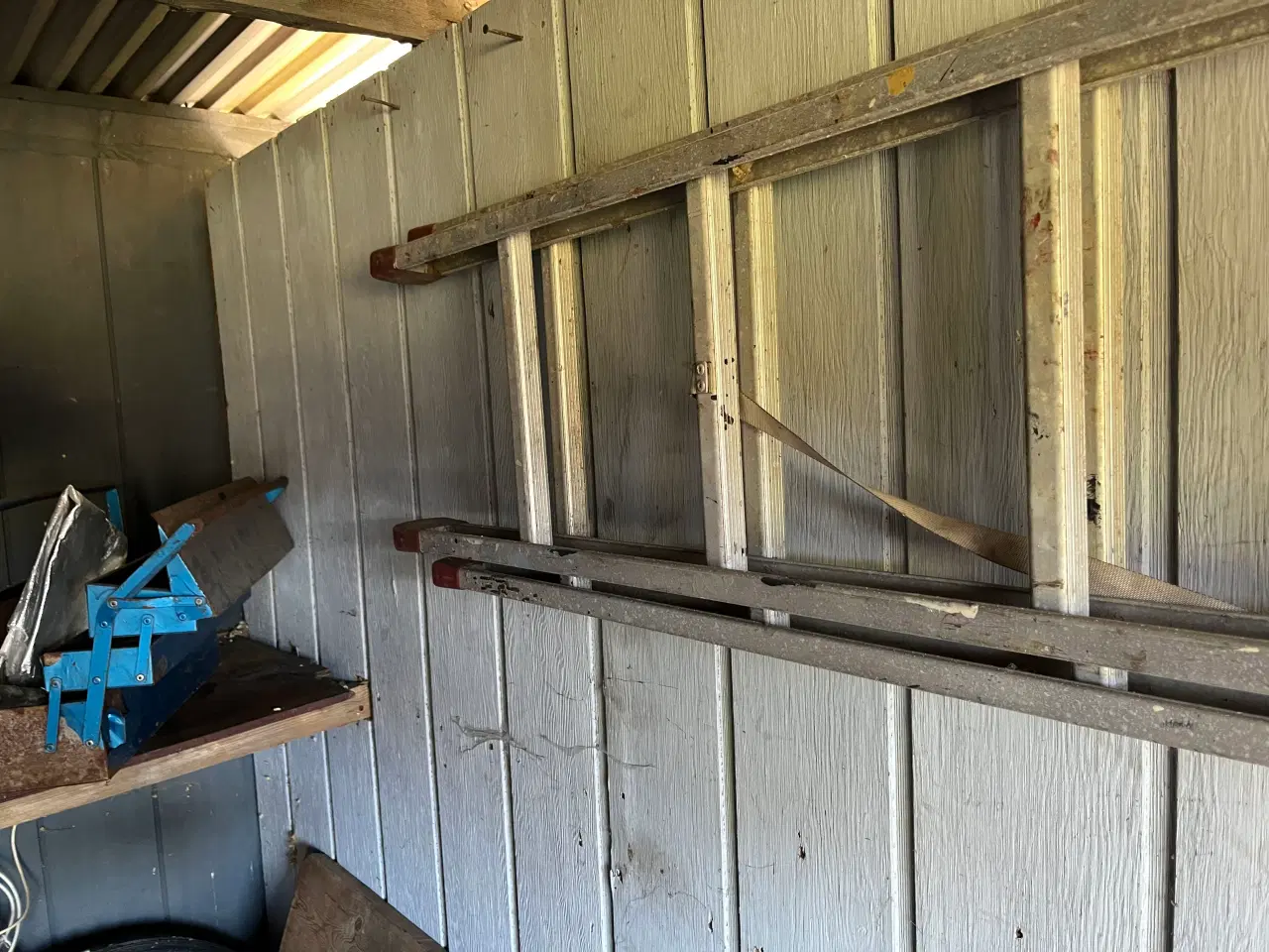 Billede 1 - Lang alustige