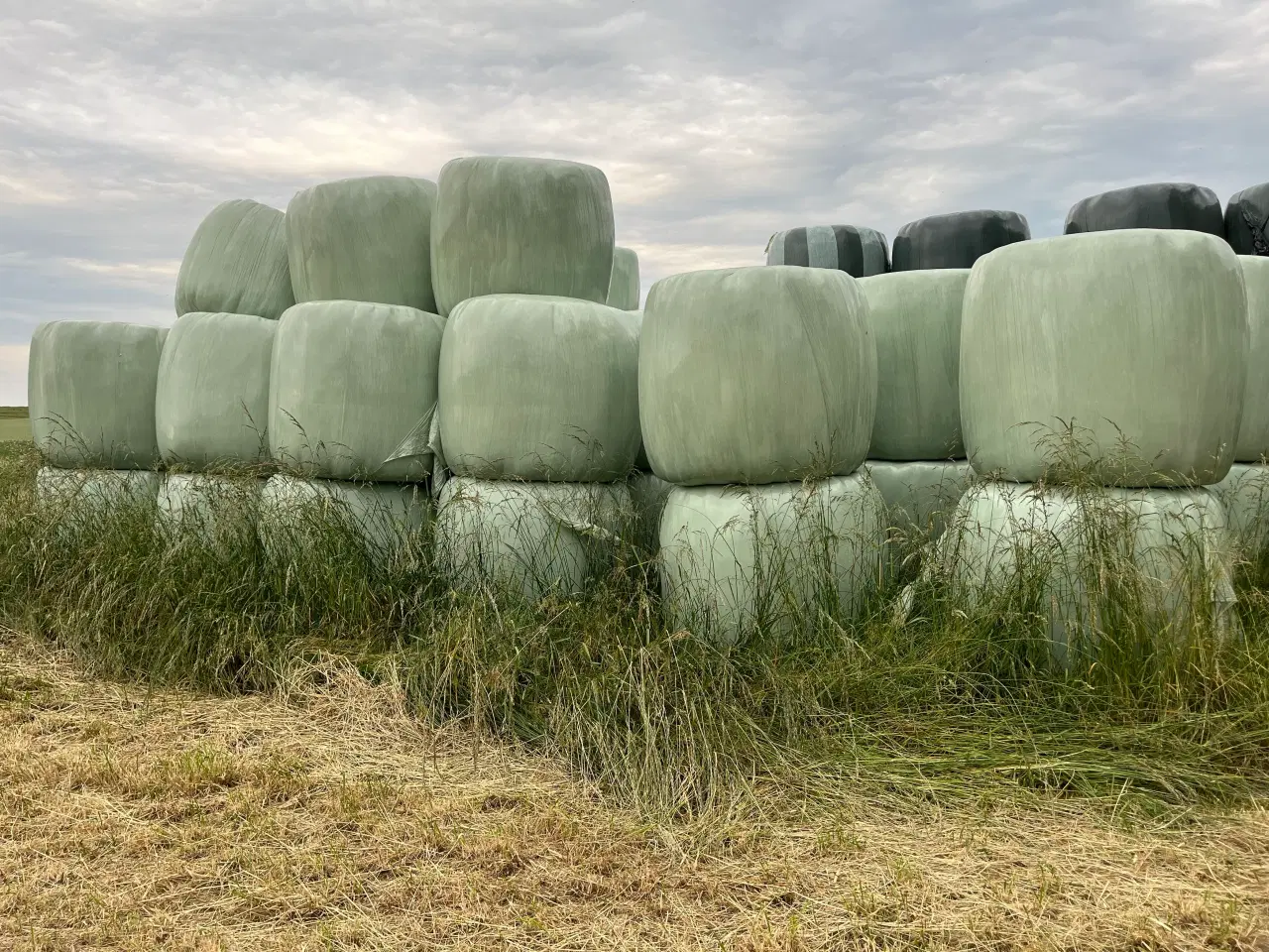 Billede 1 - 2. Slet wrap fra 2025 