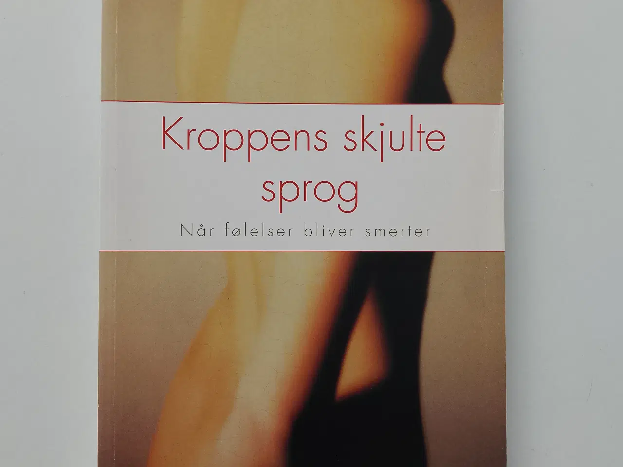 Billede 1 - Kroppens skjulte sprog - Når følelser bliver smert