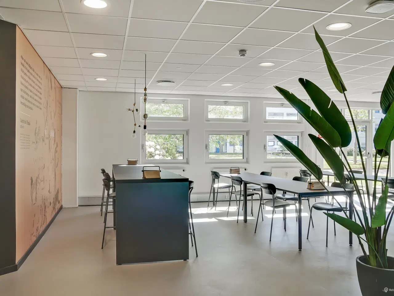 Billede 14 - Lyse og moderne kontorlokaler med rå kant
