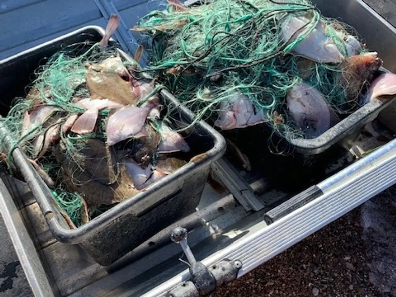 Billede 5 - SE NYT TILTAG FISKEGARN TIL FLADFISK - EN BLANK 