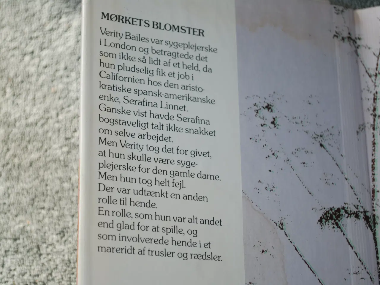 Billede 2 - Mørkets Blomster, Dora Polk