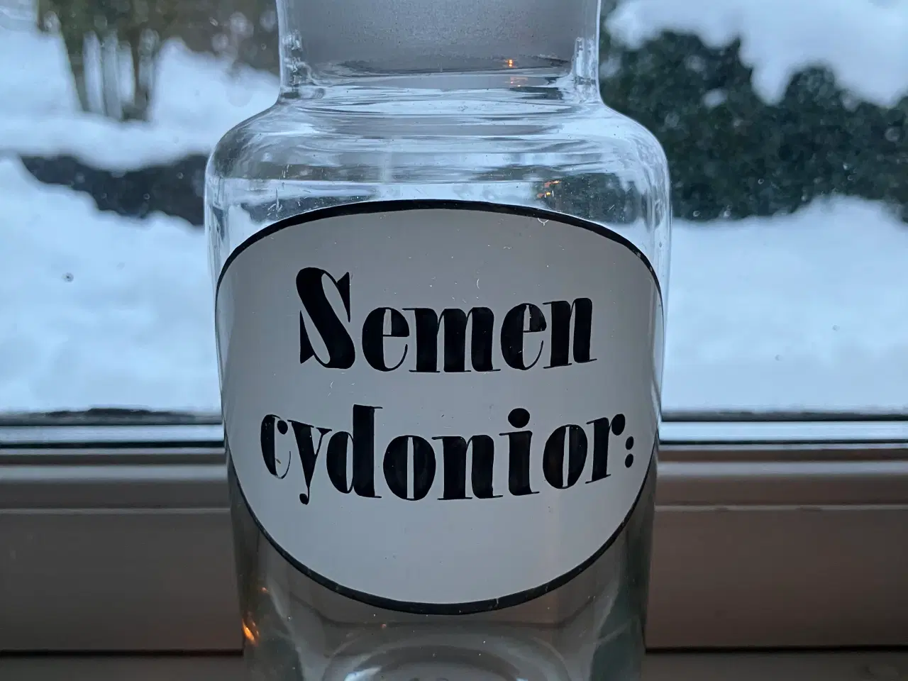 Billede 5 - Apotekerflasker i glas med etiketter