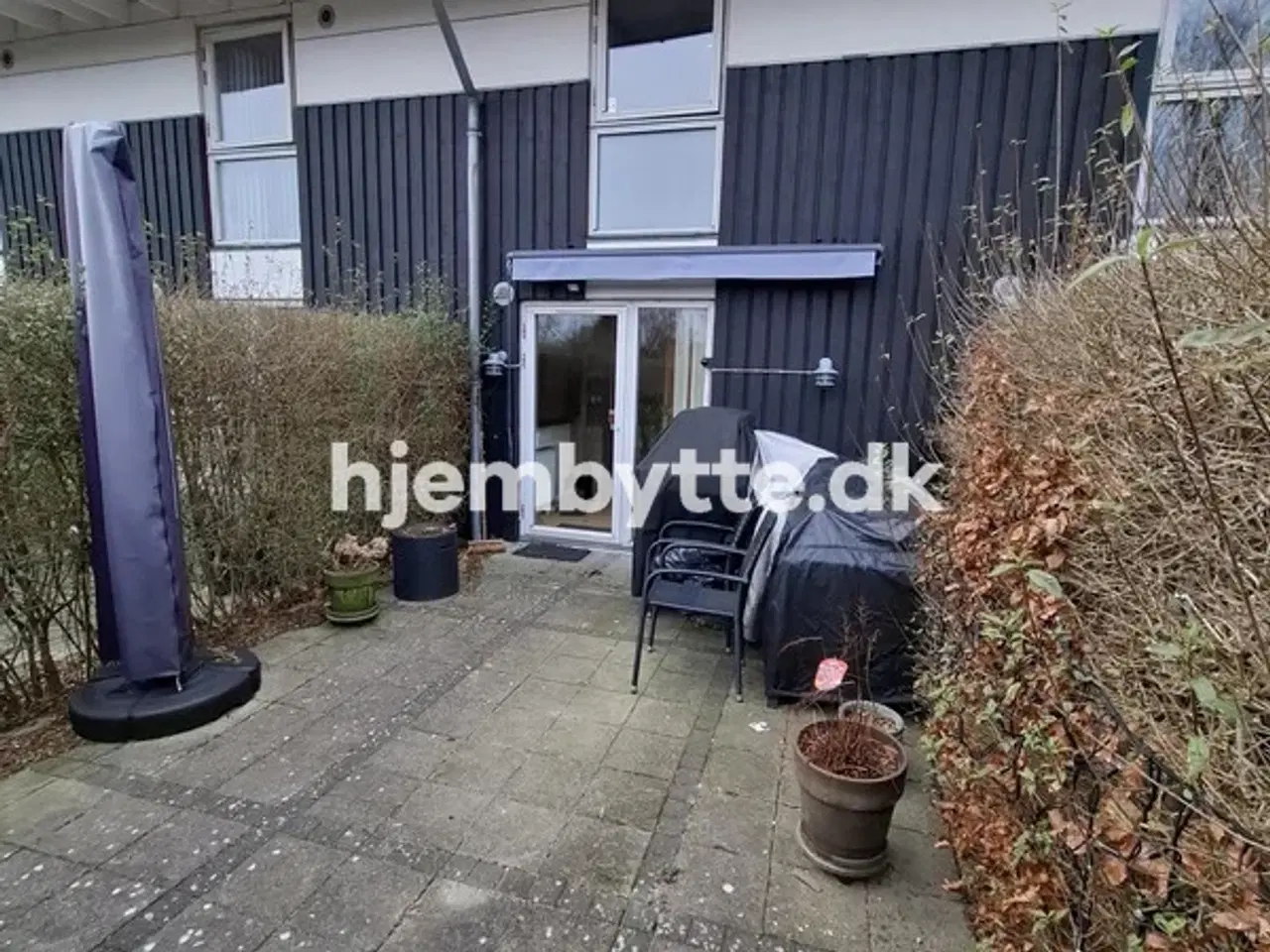Billede 8 - Hjembytte - Hyldemosen