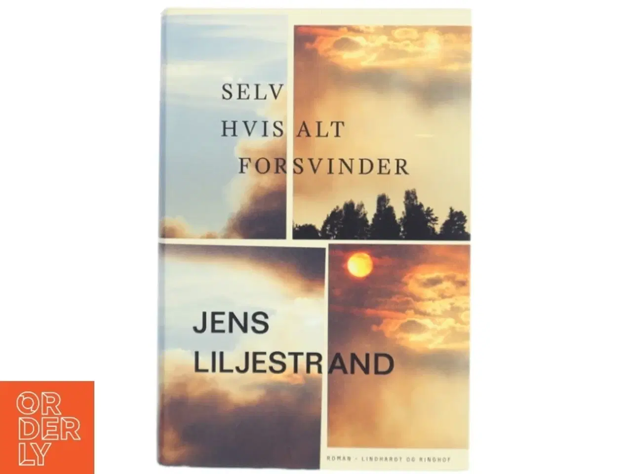 Billede 1 - Selv hvis alt forsvinder af Jens Liljestrand (f. 1974) (Bog)