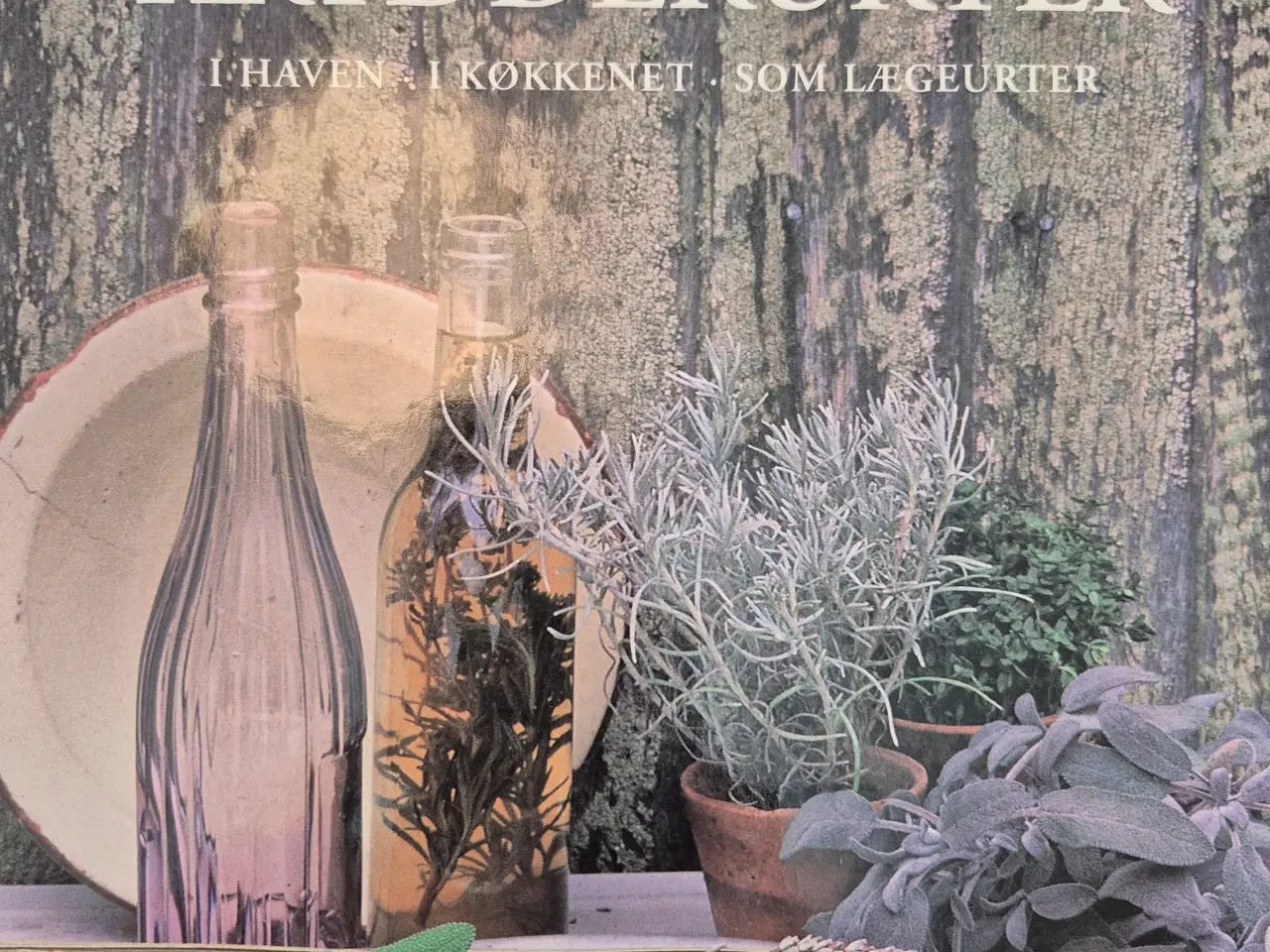 Billede 1 - Geraldene Holt : Den Store Bog Om Kryddeurter