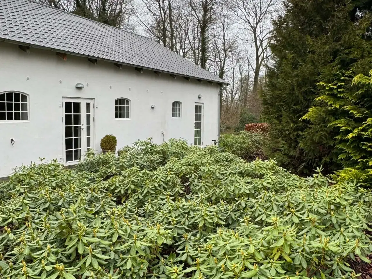 Billede 2 - Erhvervslejemål m. toilet, køleskab og el. komfur