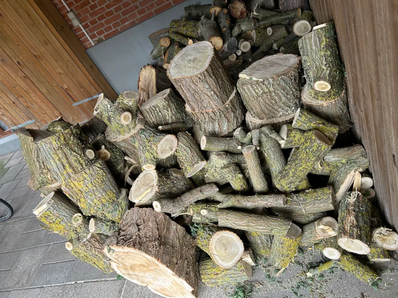 Billede 1 - Brænde til vinteren