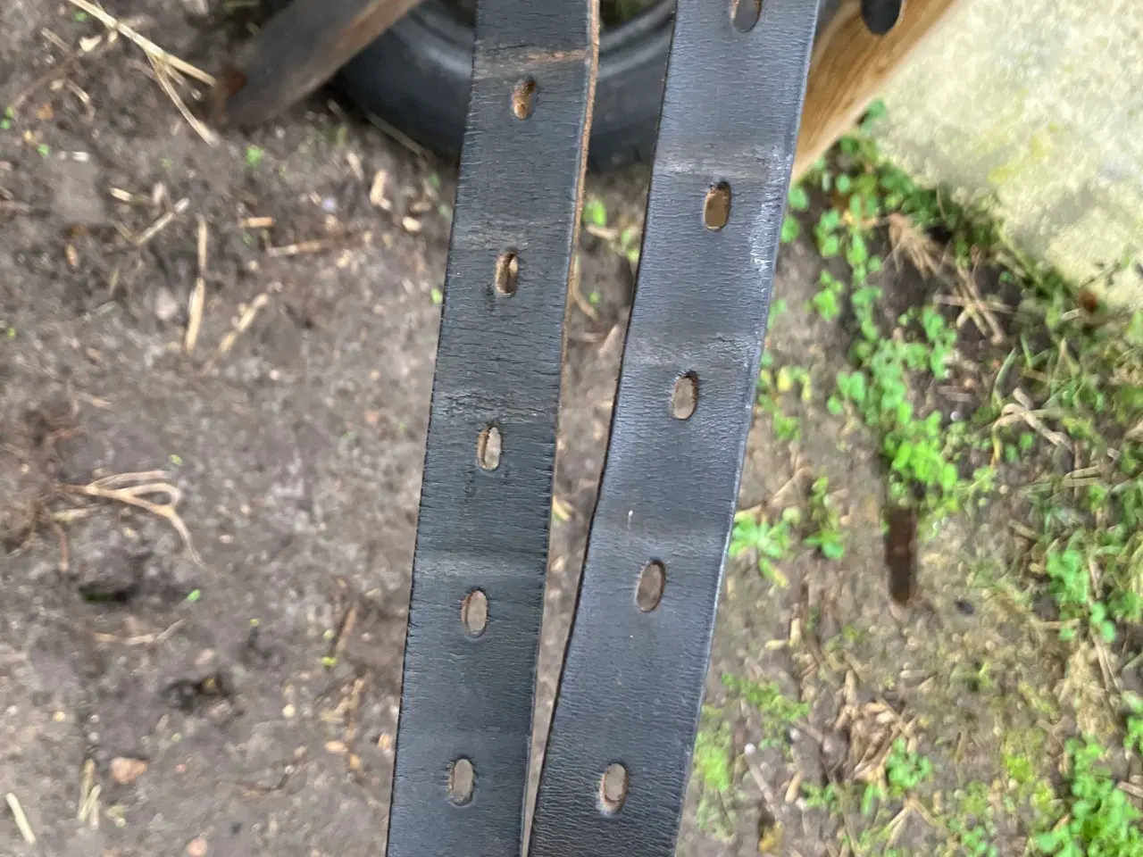 Billede 7 - Eques Kosmos 16” islænder/dressursadel