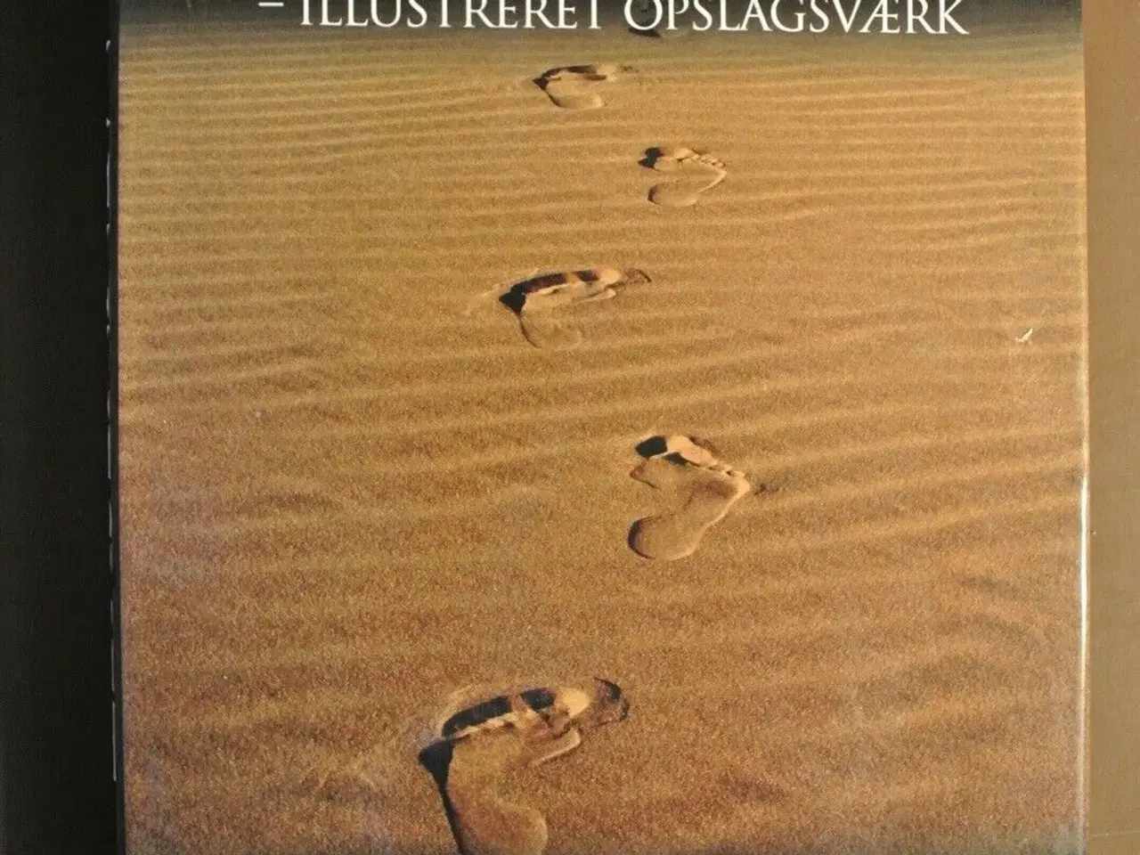 Billede 1 - mennesket - illustreret opslagsværk, red. af elin 