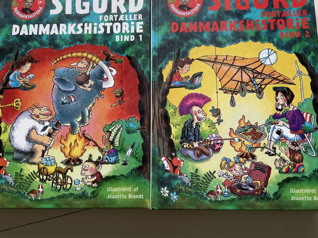 Billede 1 - Sigurds Danmarkshistorie bind 1+2