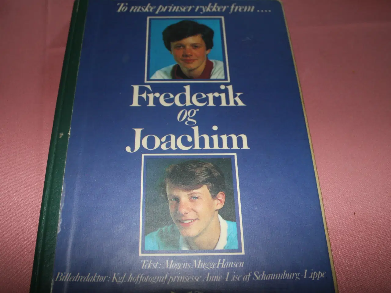 Billede 2 - "Frederik og Joachim"