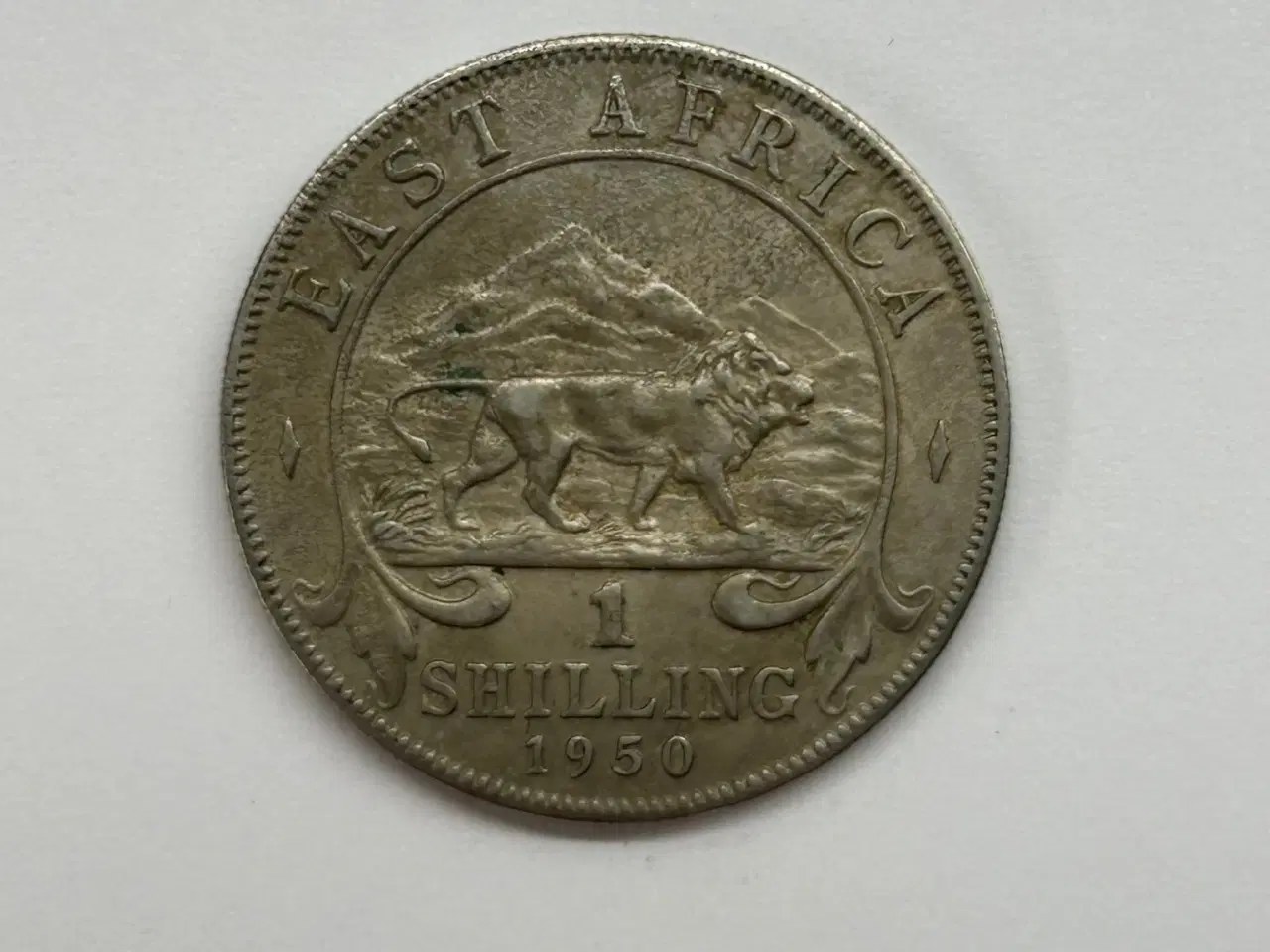 Billede 1 - East Africa Shilling 1950