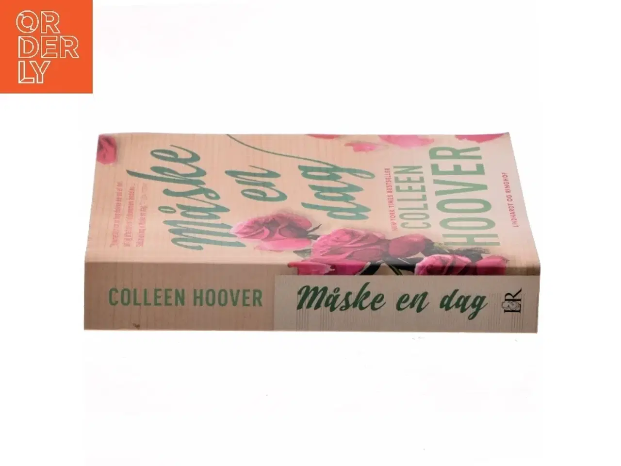 Billede 2 - Måske en dag af Colleen Hoover (Bog)