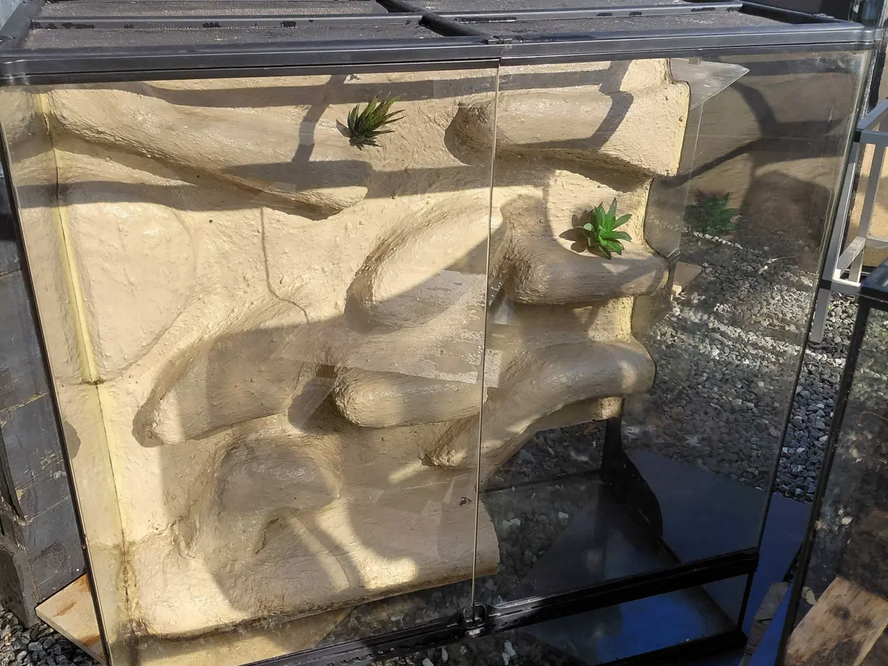 Billede 1 - Terrarium 