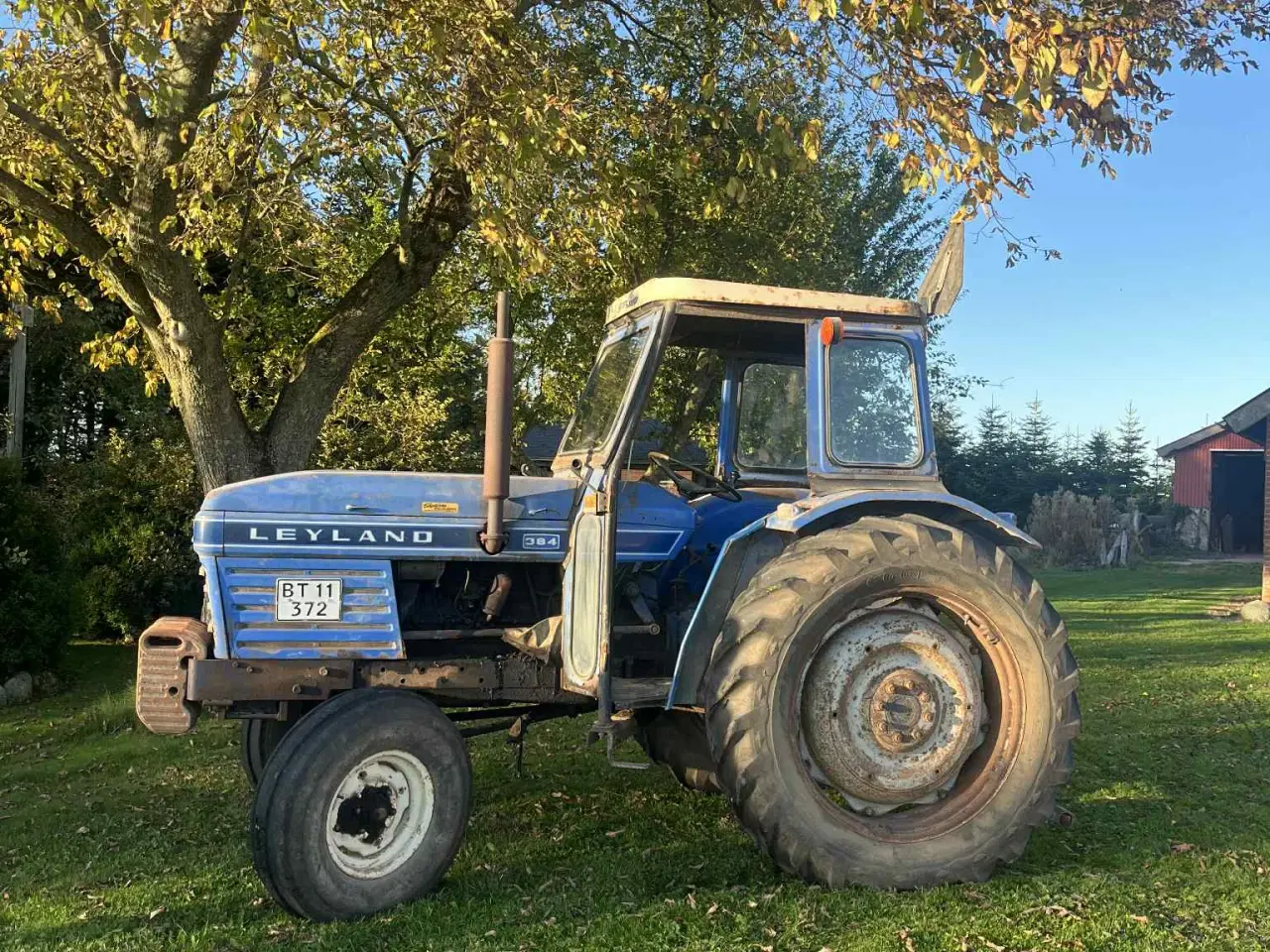 Billede 11 - Leyland 384