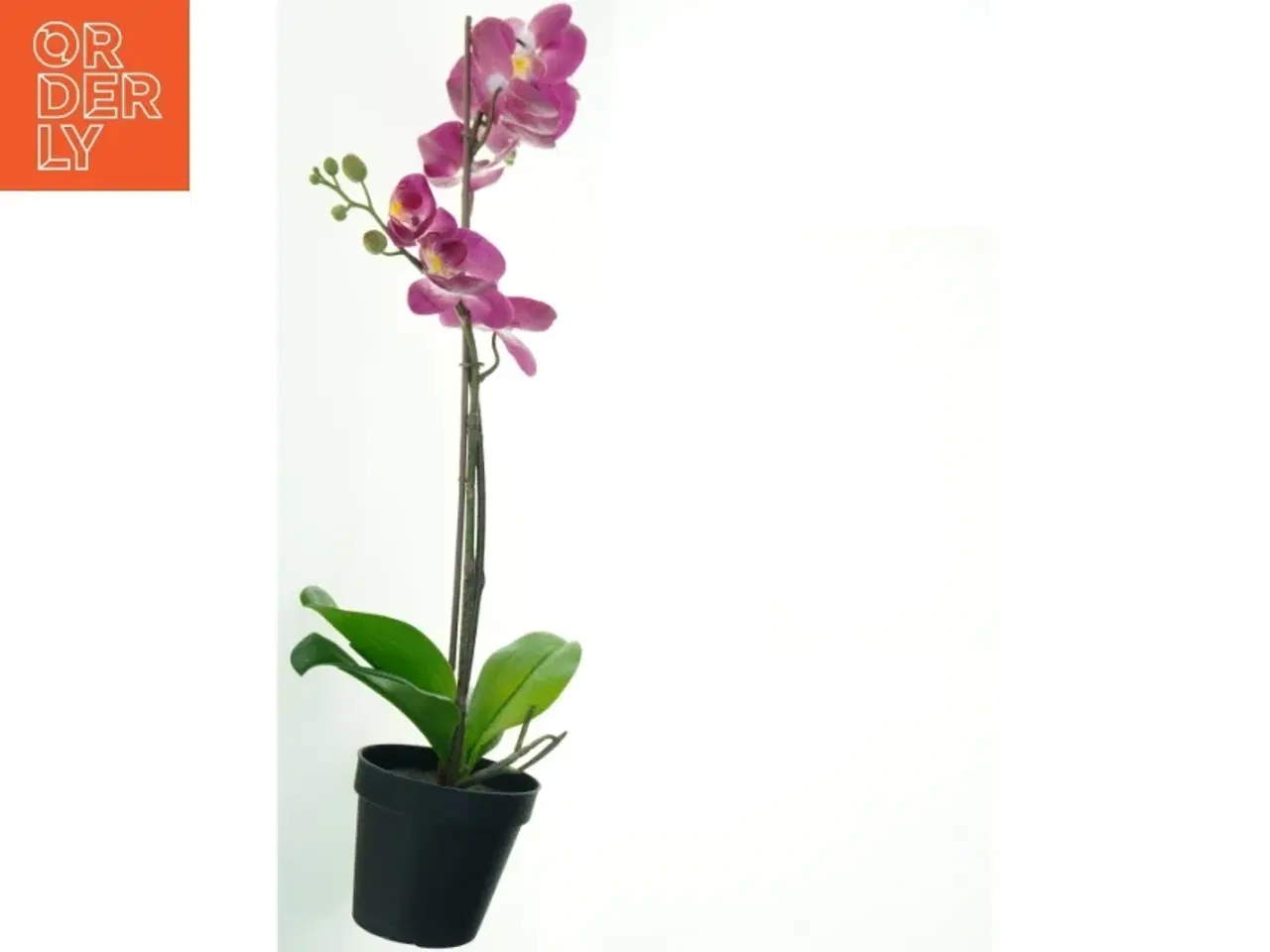 Billede 2 - Kunstig orkidé i potte fra IKEA (str. 69 cm)