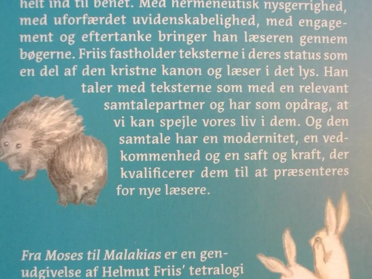 Billede 5 - fra moses til malakias - en lystvandring i det gam