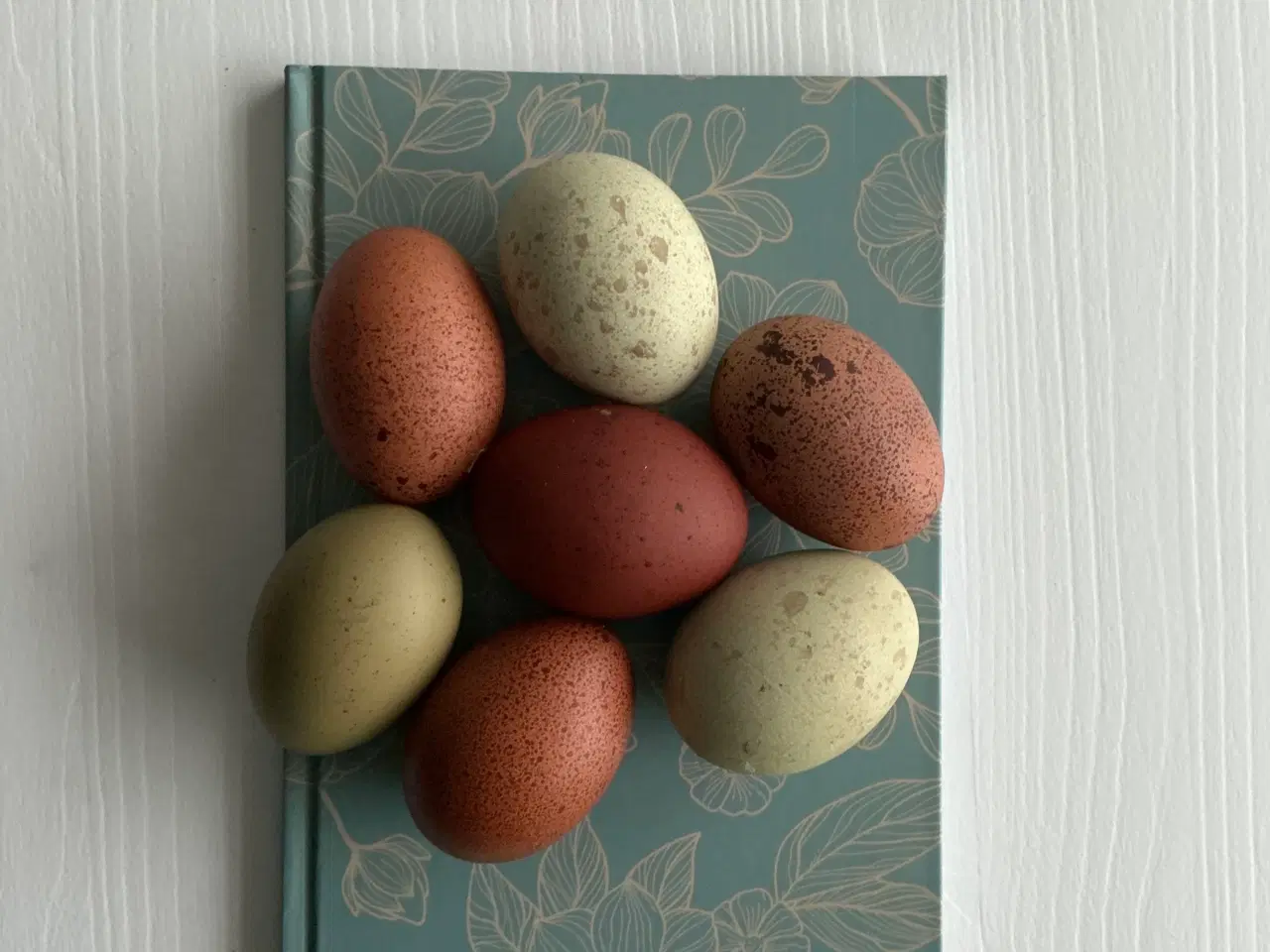 Billede 6 - Rugeæg I Gode Farver