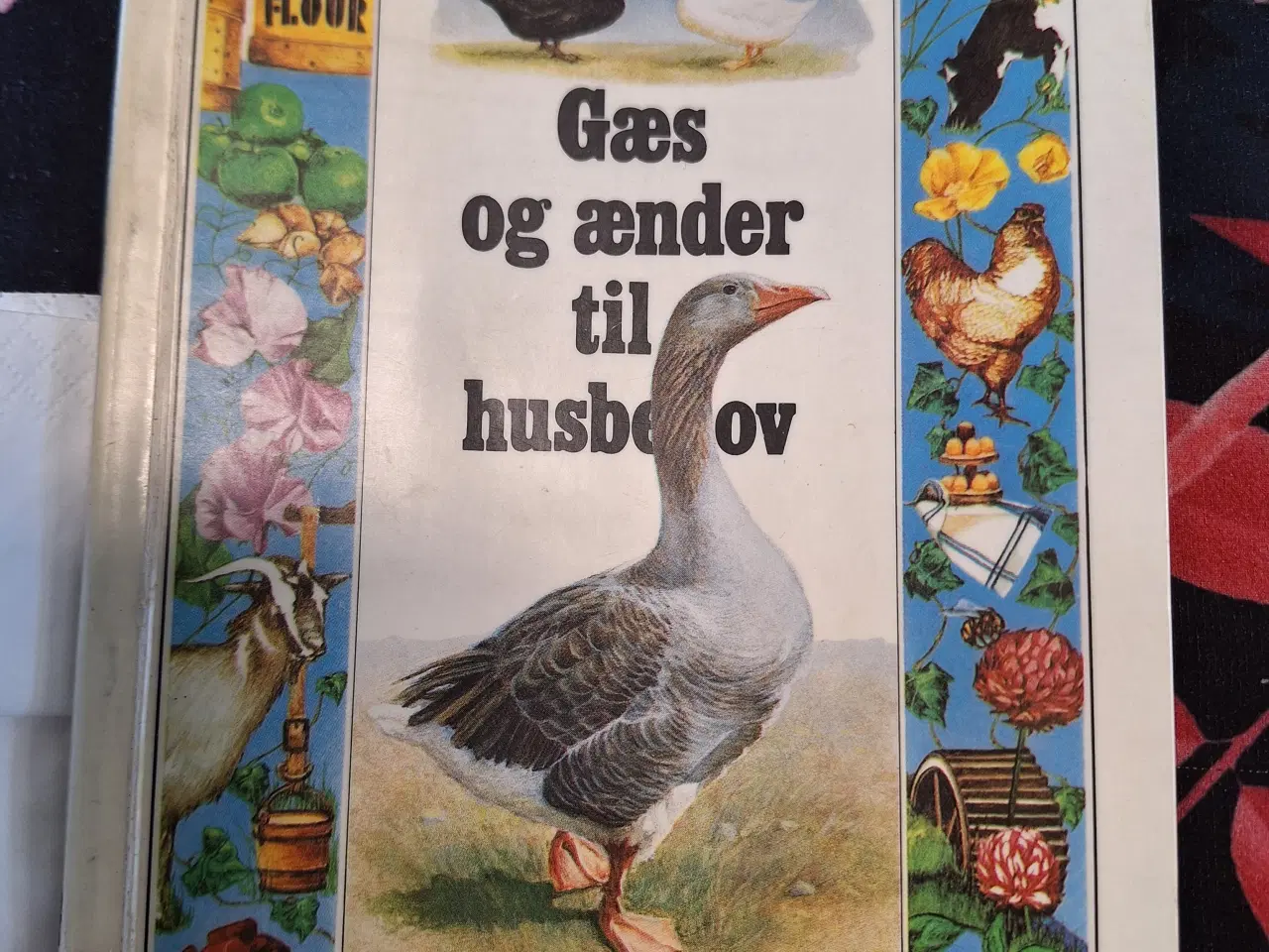 Billede 1 - Gæs og ænder til husbehov