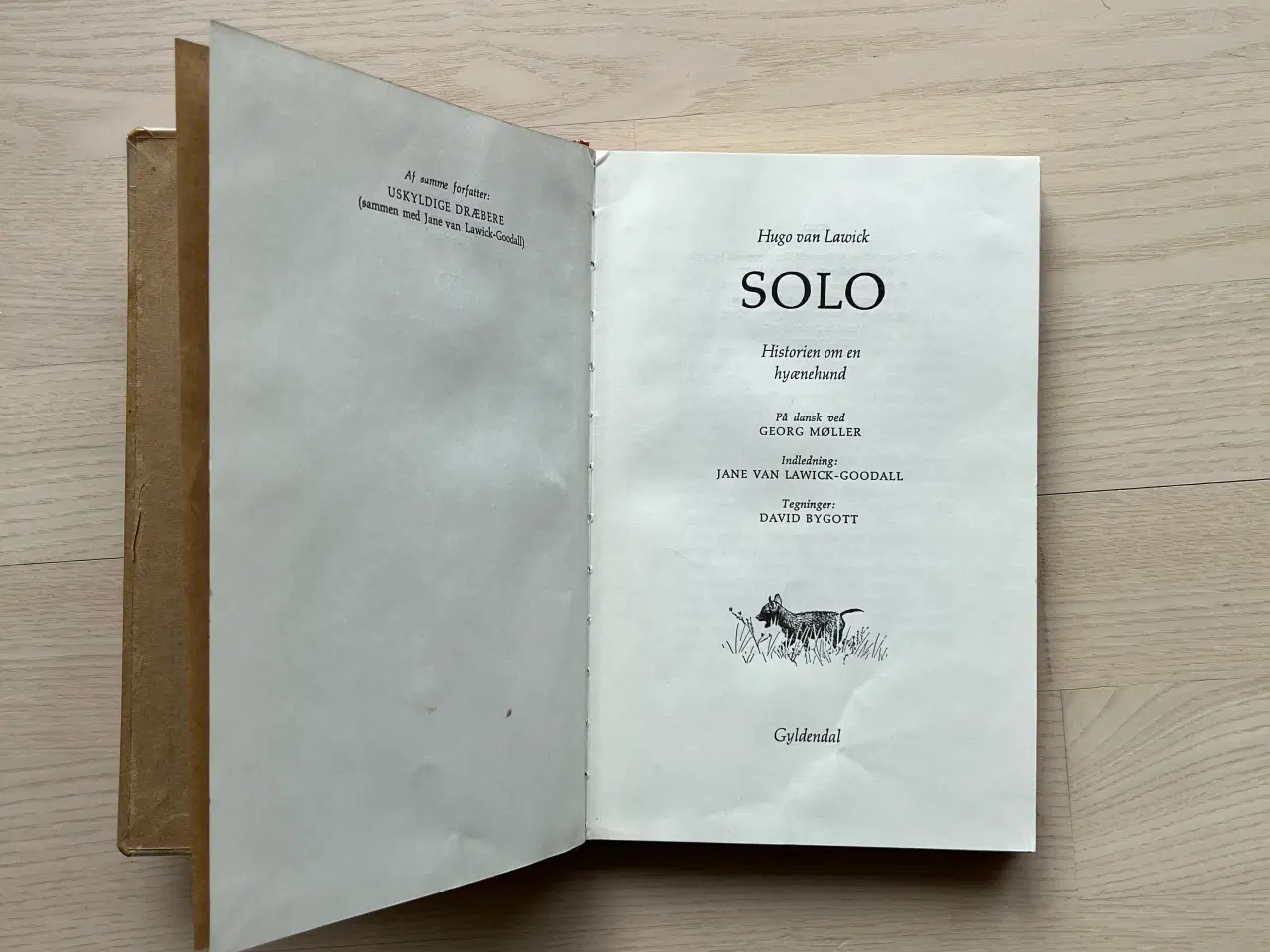 Billede 2 - Solo - Historien om en hyænehund