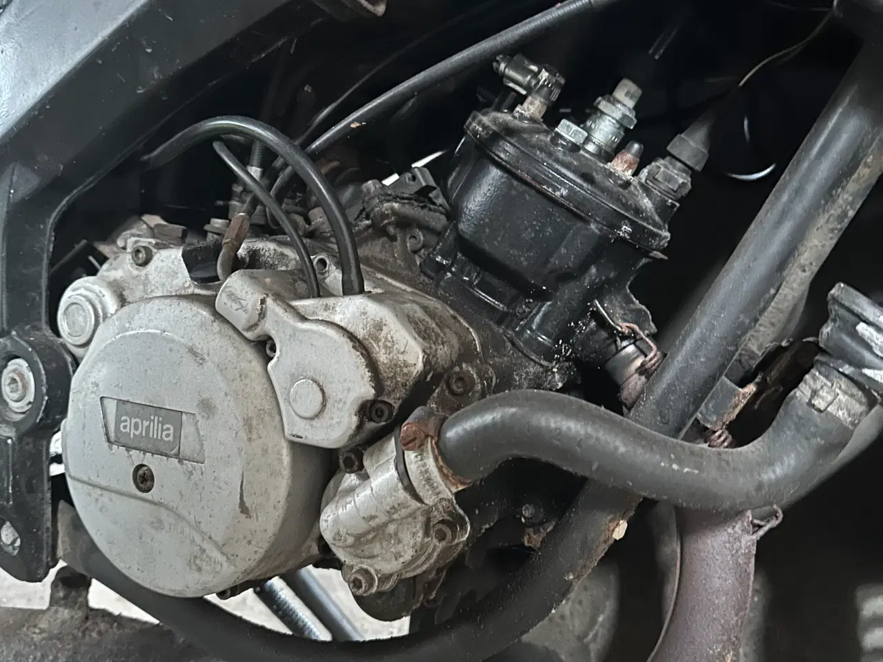 Billede 2 - Aprilia RS50 
