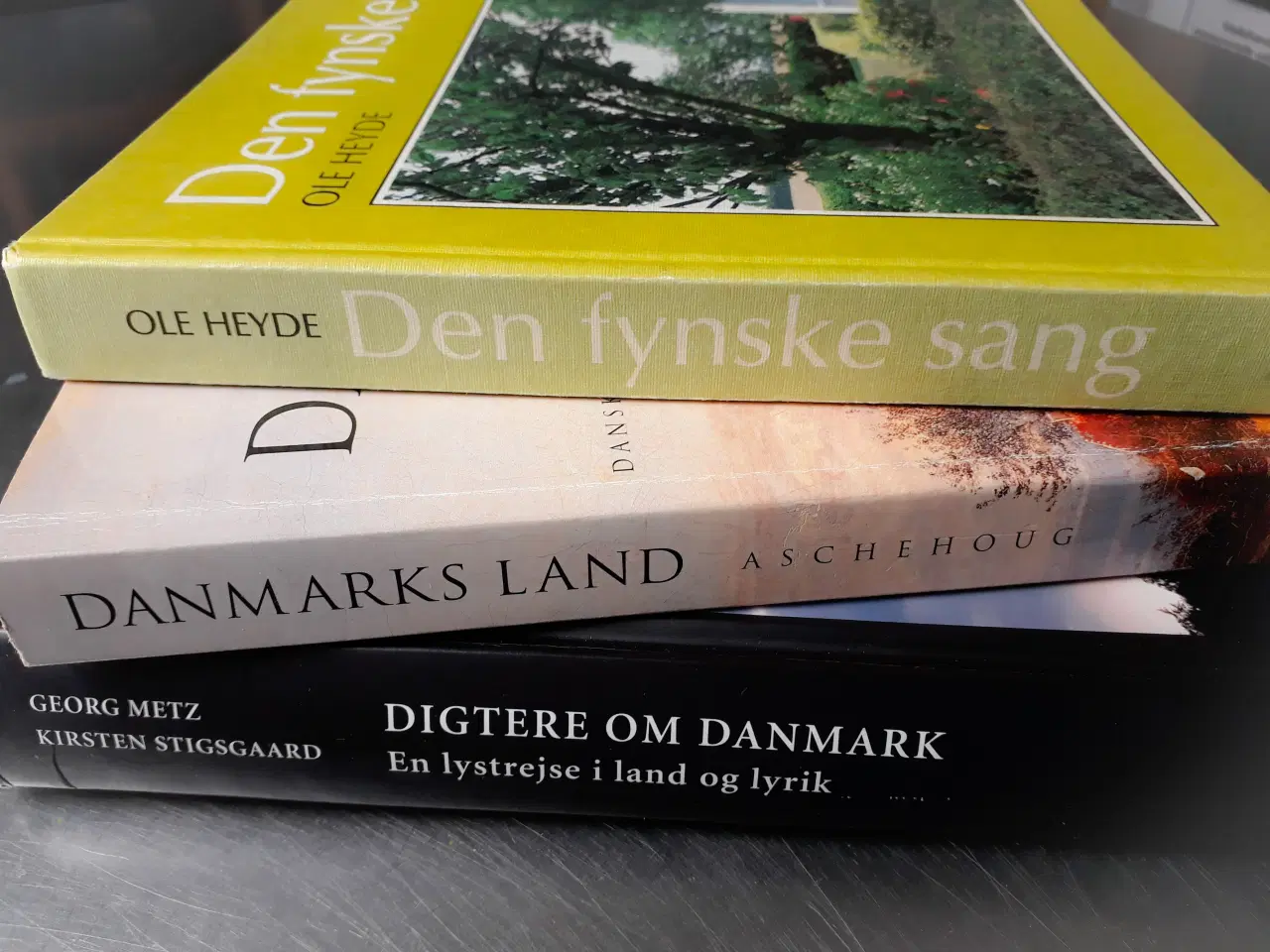 Billede 2 - 3 Bøger om Danmark, Lyrik og Sang 