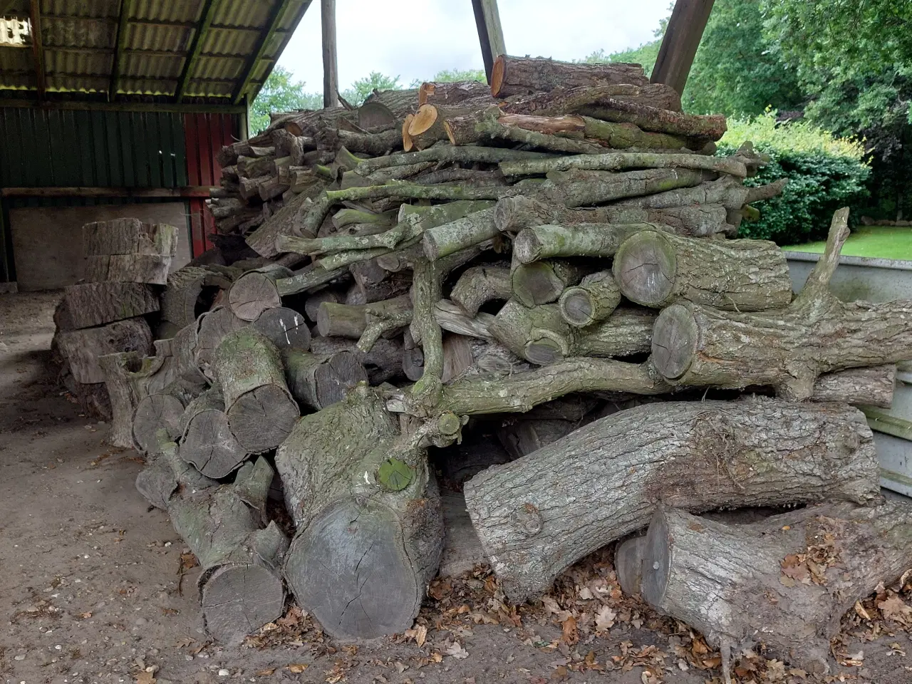 Billede 1 - Brænde Egetræ og løvtræ - tørt.