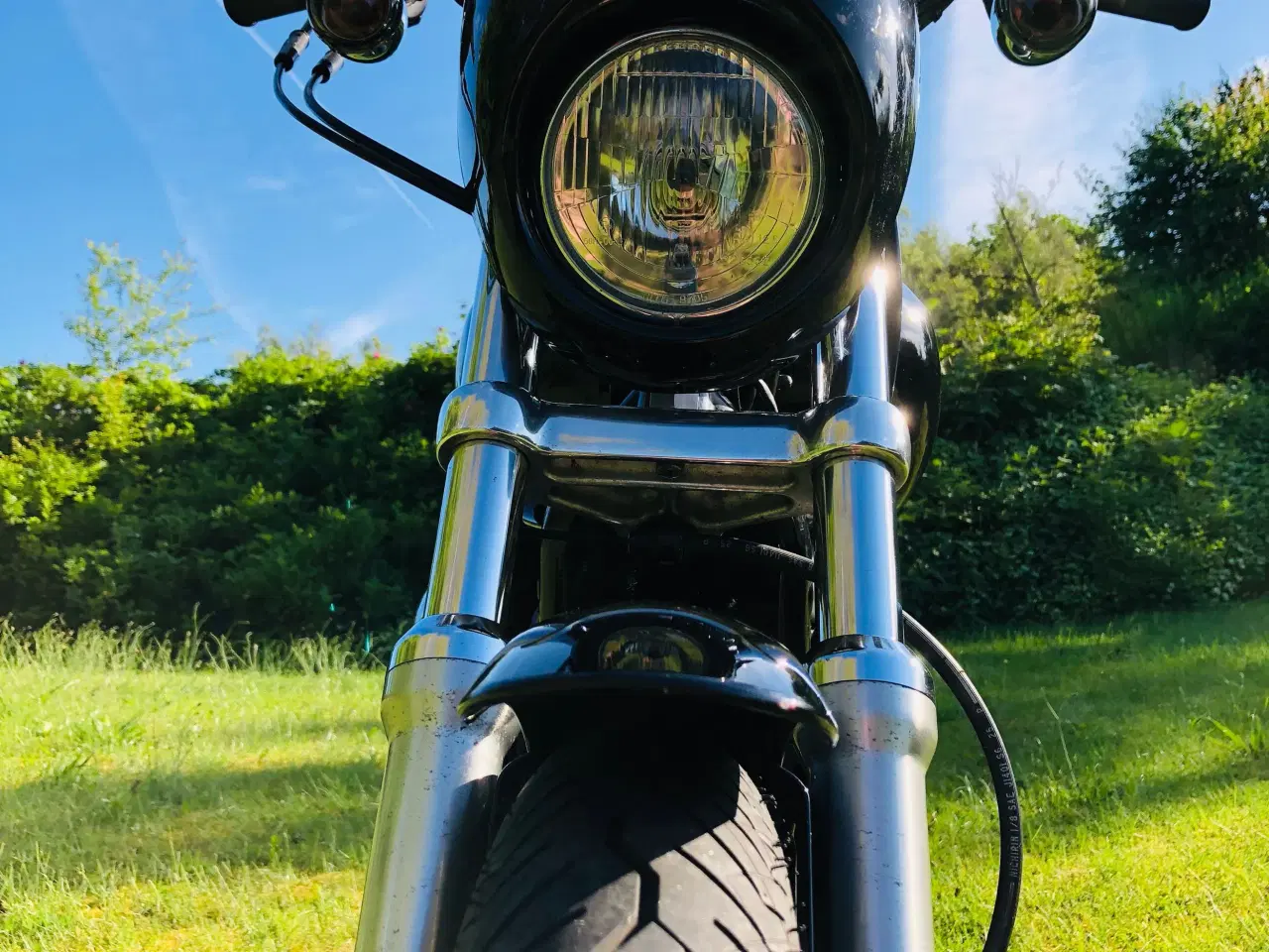 Billede 2 - Harley Davidson Sportster 883 Custom 